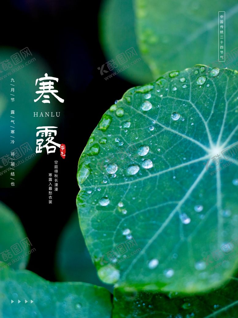 编号：97215903262227528619【酷图网】源文件下载-唯美清新24节气之寒露宣传海报