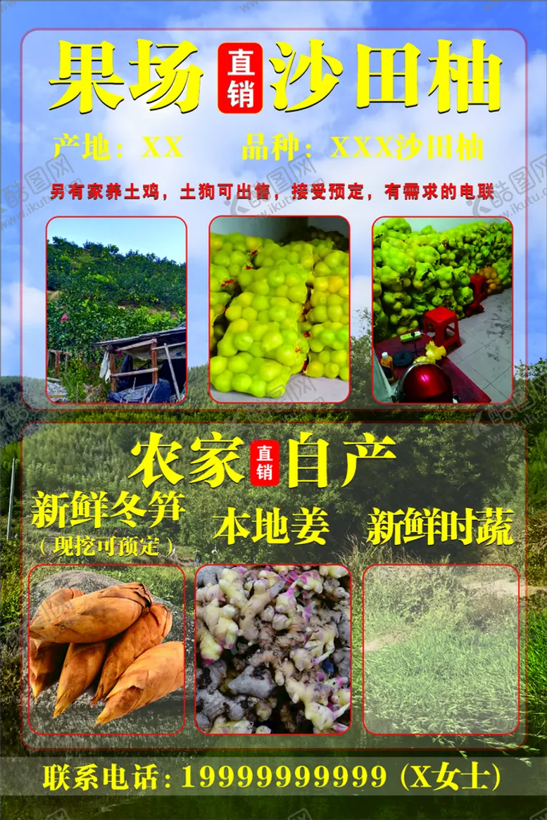 编号：27742511060256452729【酷图网】源文件下载-果场直销沙田柚