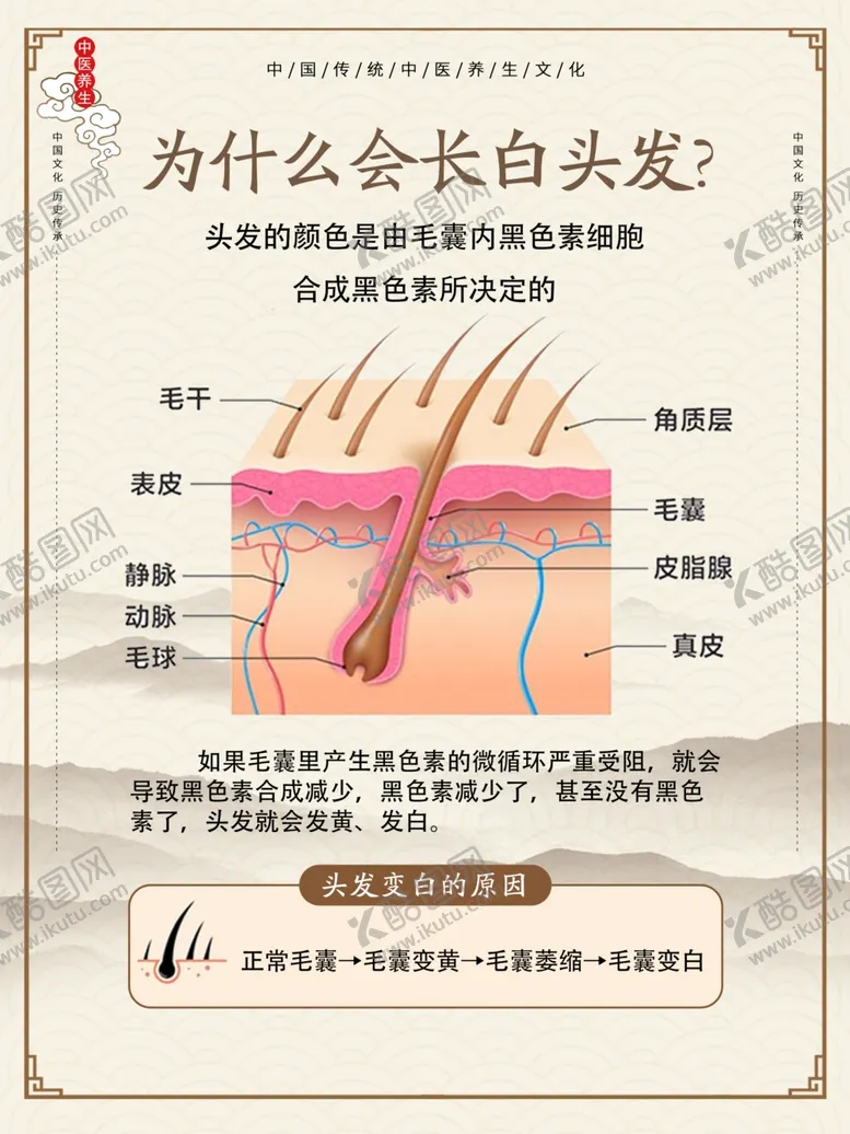编号：49774702261750516701【酷图网】源文件下载-中医养发
