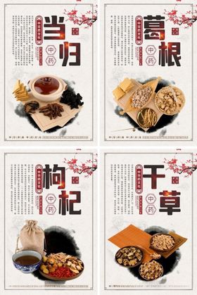 枸杞中医中药药材宣传系列海报