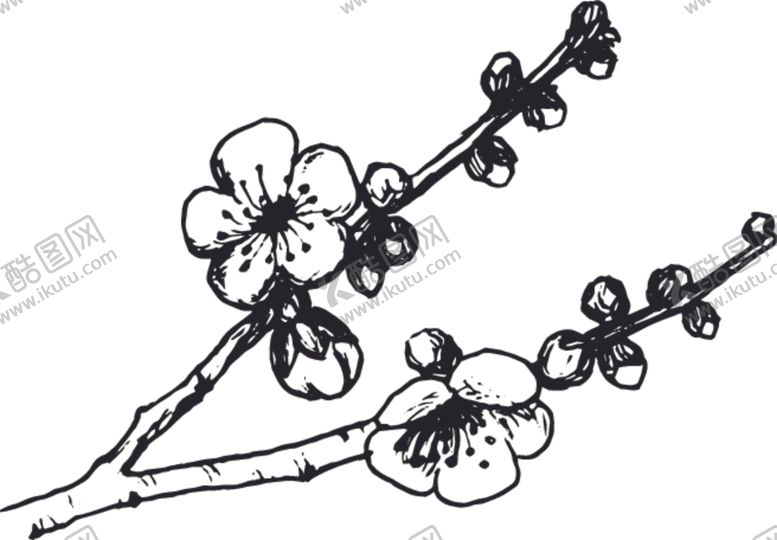 编号：41610409110529097135【酷图网】源文件下载-素描鲜花