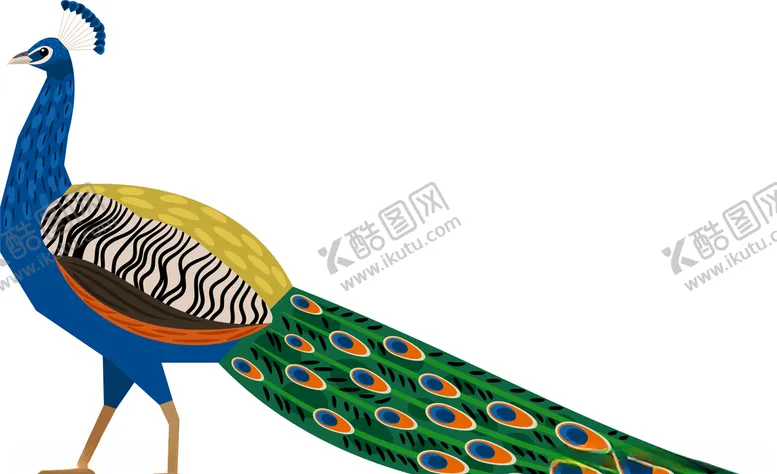 编号：91617507012158288272【酷图网】源文件下载-动物孔雀插画