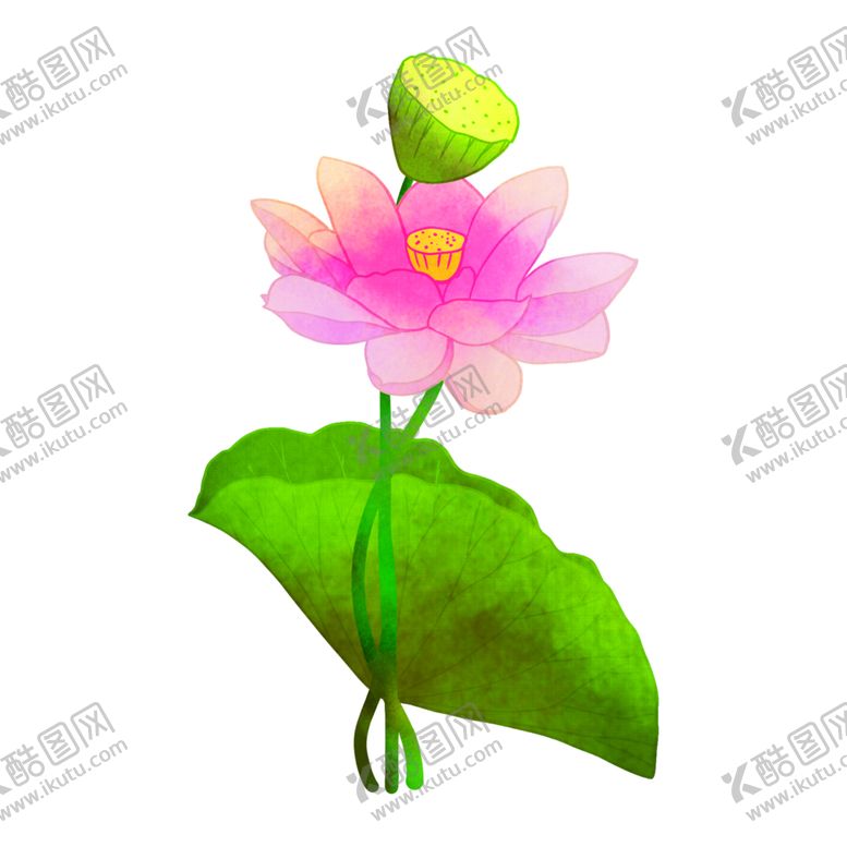 编号：20917205041121032299【酷图网】源文件下载-荷花元素