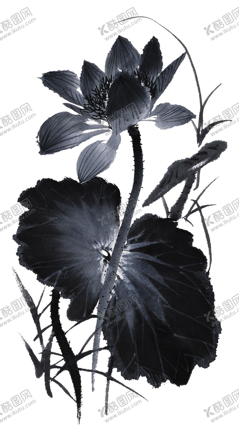 编号：65312109231643395201【酷图网】源文件下载-中国风荷叶荷花绘画