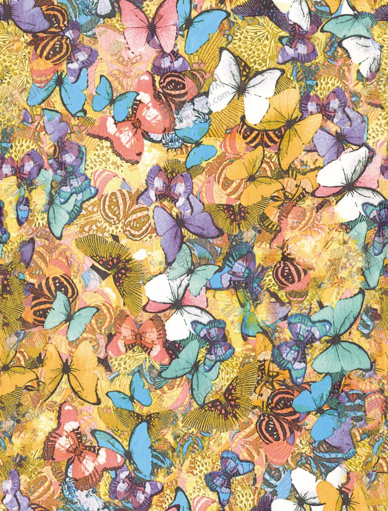 编号：81688209221049358778【酷图网】源文件下载-蝴蝶