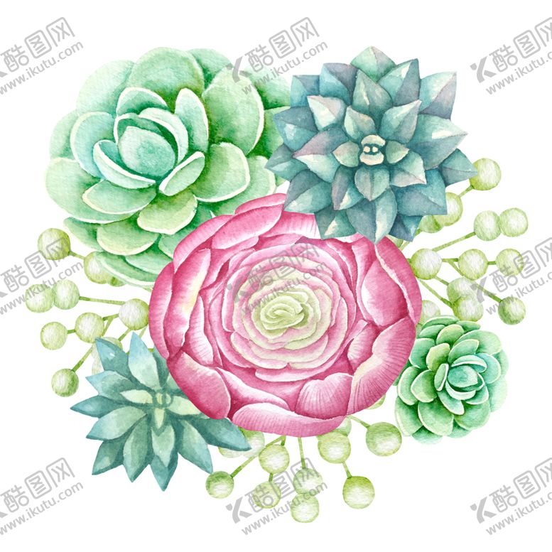 编号：50200509180554151498【酷图网】源文件下载-手绘植物