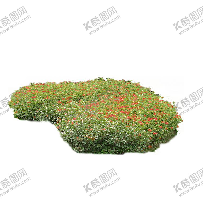 编号：27475810040452159776【酷图网】源文件下载-绿色植物