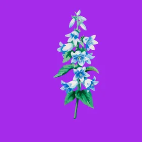 手绘花卉花朵