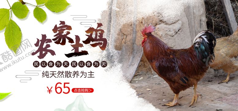 编号：91460309181632207021【酷图网】源文件下载-农家土鸡