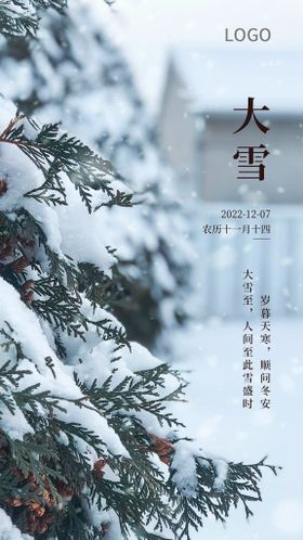 大雪节气企业宣传海报