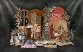 焦糖色婚礼迎宾区合影区效果图