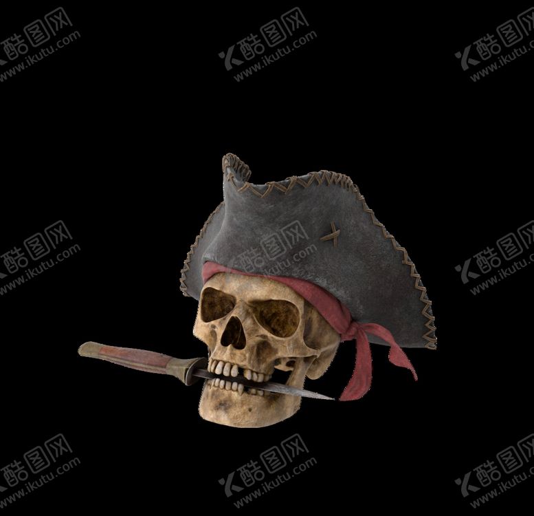 编号：70887009130845573449【酷图网】源文件下载-海盗骷髅