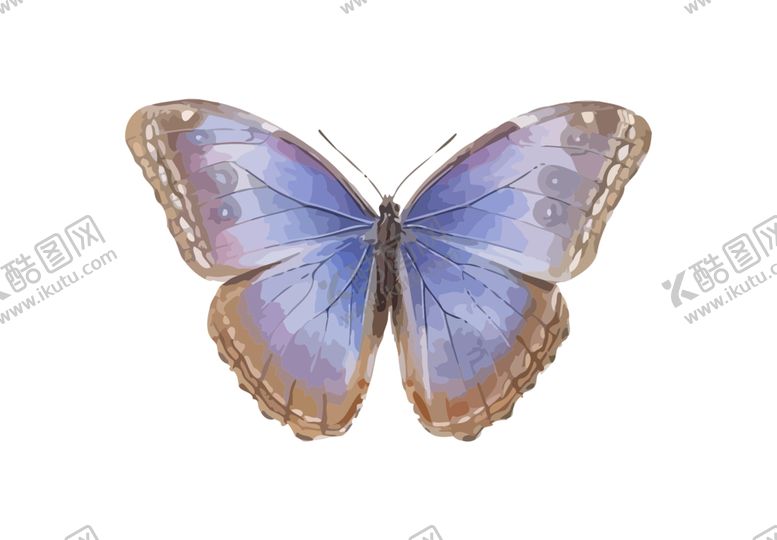 编号：93292309250921019379【酷图网】源文件下载-蝴蝶