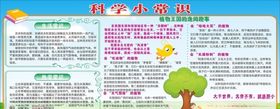 学校宣传栏