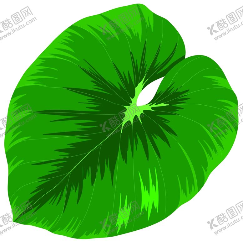 编号：33157802031958456930【酷图网】源文件下载-叶片