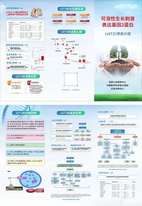 医疗宣传折页展示