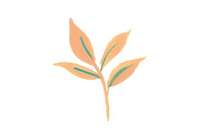 手绘花