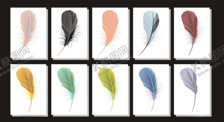 编号：93760610291610527706【酷图网】源文件下载-矢量羽毛素材