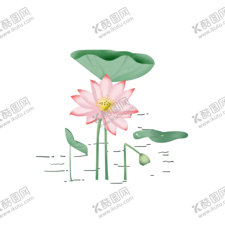 编号：26905910180558436659【酷图网】源文件下载-荷花