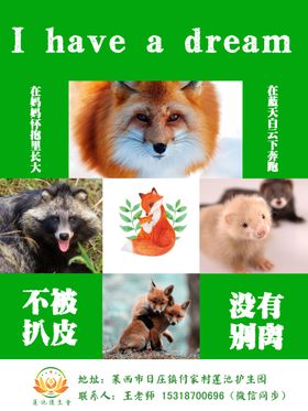 放生护生拒绝皮草