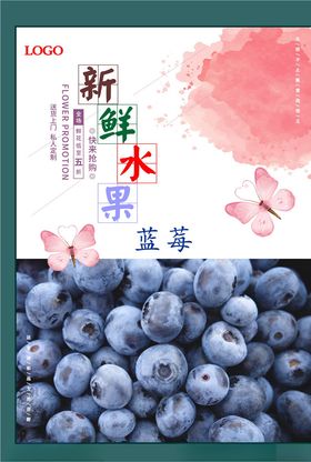 蓝莓海报
