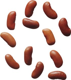 豆子