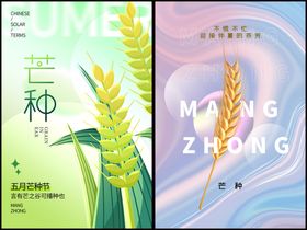 芒种海报