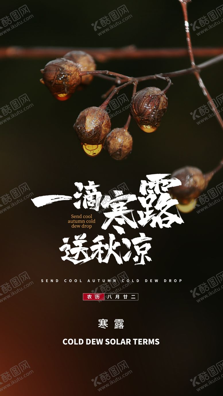 编号：99401011301525198305【酷图网】源文件下载-寒露