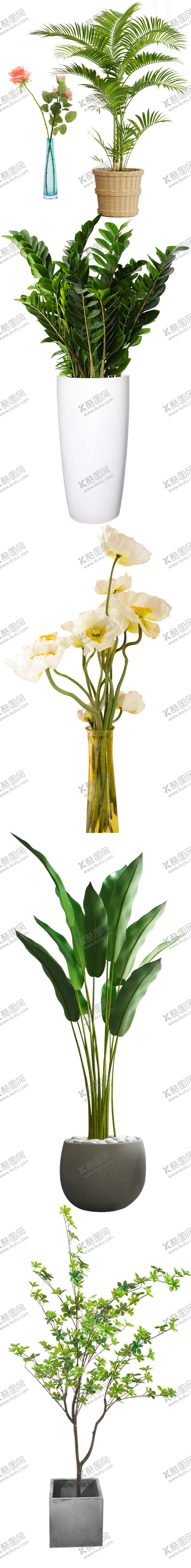 编号：35860811270624536430【酷图网】源文件下载-盆栽绿植花免扣素材