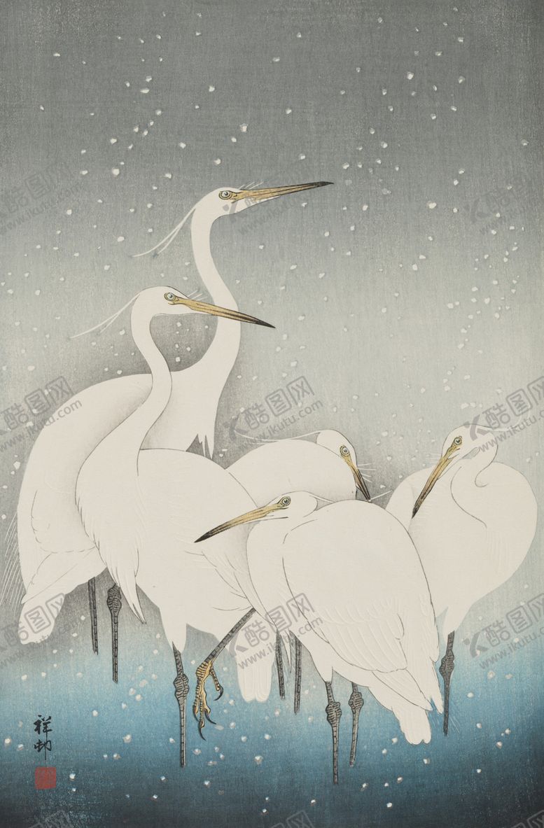 编号：87038910012118477856【酷图网】源文件下载-白鹭
