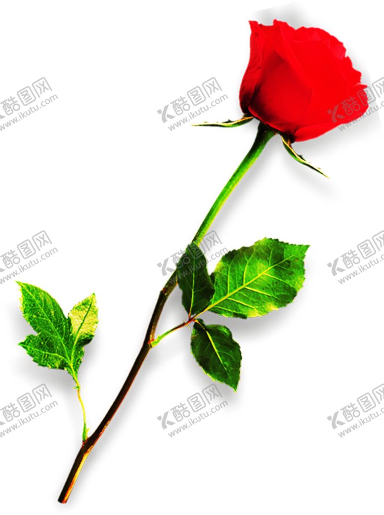 编号：22248807122006194617【酷图网】源文件下载-浪漫素材