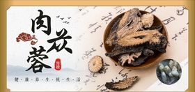 肉苁蓉中药材