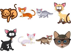 卡通猫