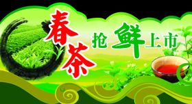 春茶抢鲜上市