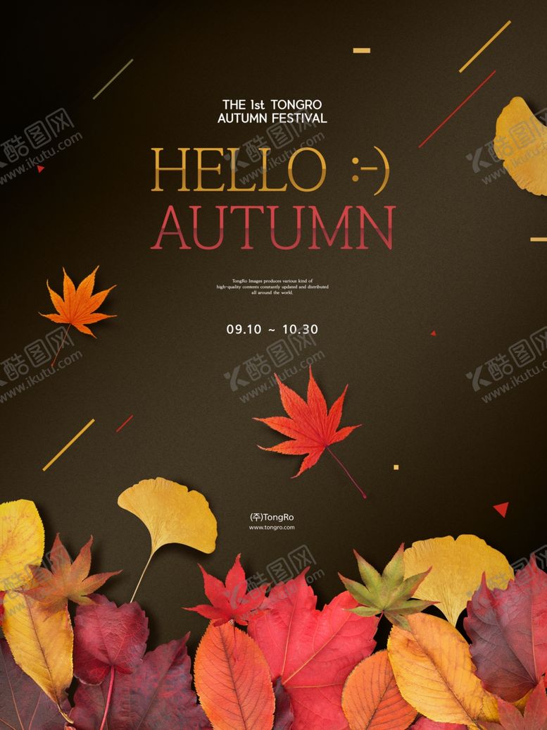 编号：16988305090159573284【酷图网】源文件下载-温馨唯美枫叶场景图片