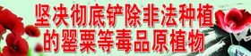 禁毒口号