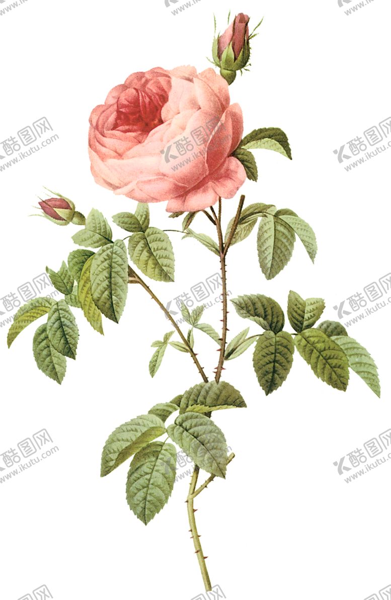 编号：25688607022301481048【酷图网】源文件下载-植物花卉油画装饰画