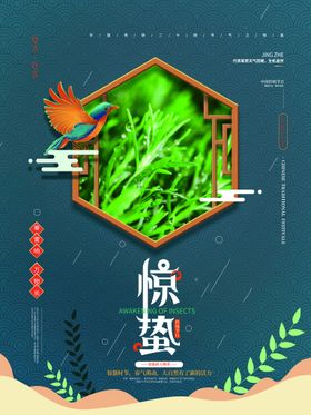 惊蛰转发图宣传二十四节气
