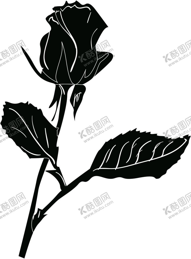 编号：82533105060713296551【酷图网】源文件下载-鲜花素材