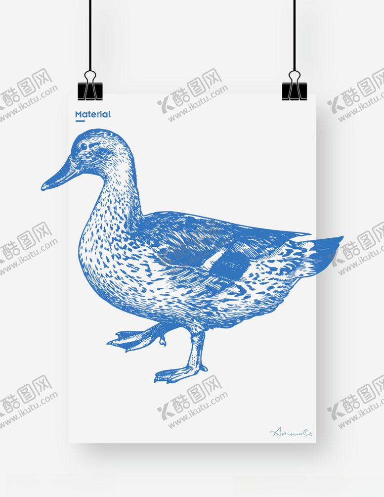 编号：28513210021939415279【酷图网】源文件下载-鸭子