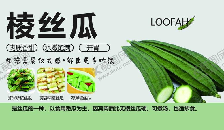 编号：78332301271140362500【酷图网】源文件下载-棱丝瓜