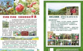 苹果DM水果单页宣传单