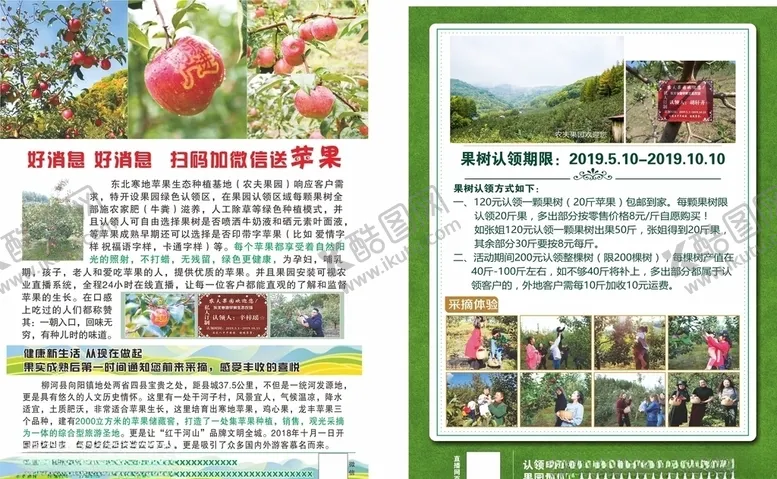 编号：52198705131111046277【酷图网】源文件下载-苹果DM水果单页宣传单