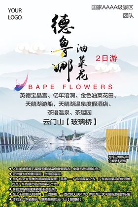 小清新清明踏春旅游海报