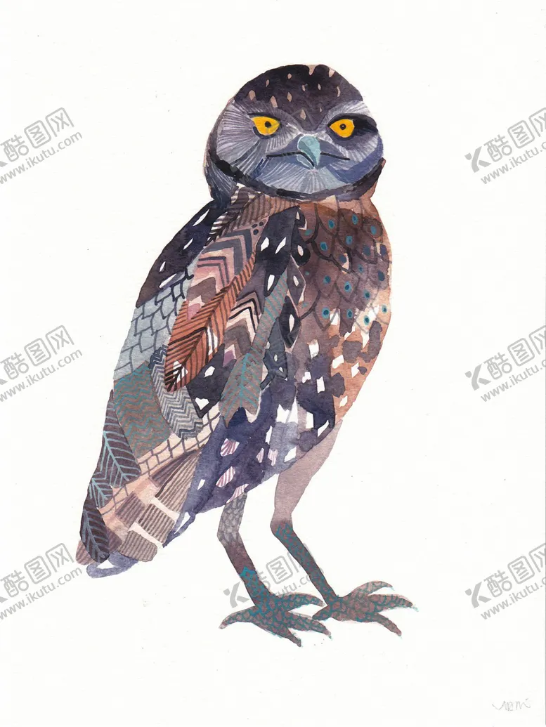 编号：48311006240728174624【酷图网】源文件下载-猫头鹰水彩画