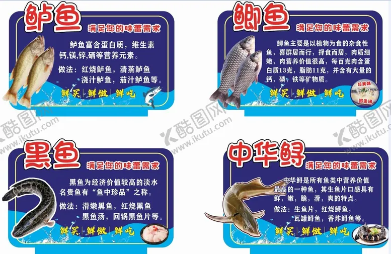 编号：54214211022039471686【酷图网】源文件下载-水产鱼