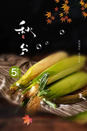 秋分节气传统活动