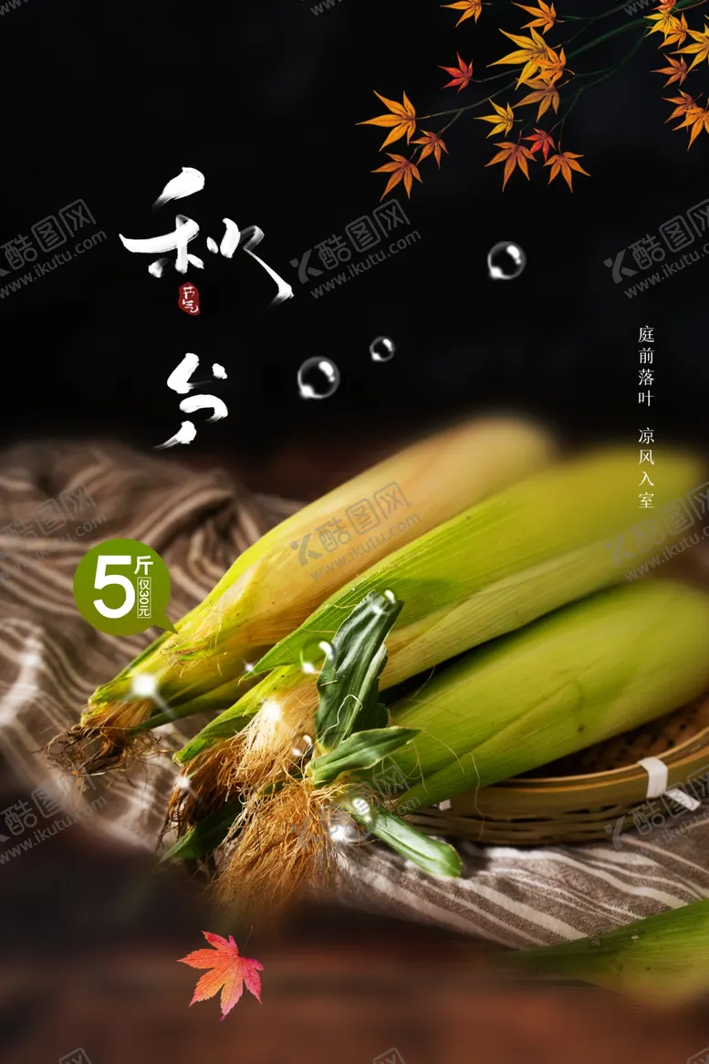 编号：39039011260916031062【酷图网】源文件下载-秋分