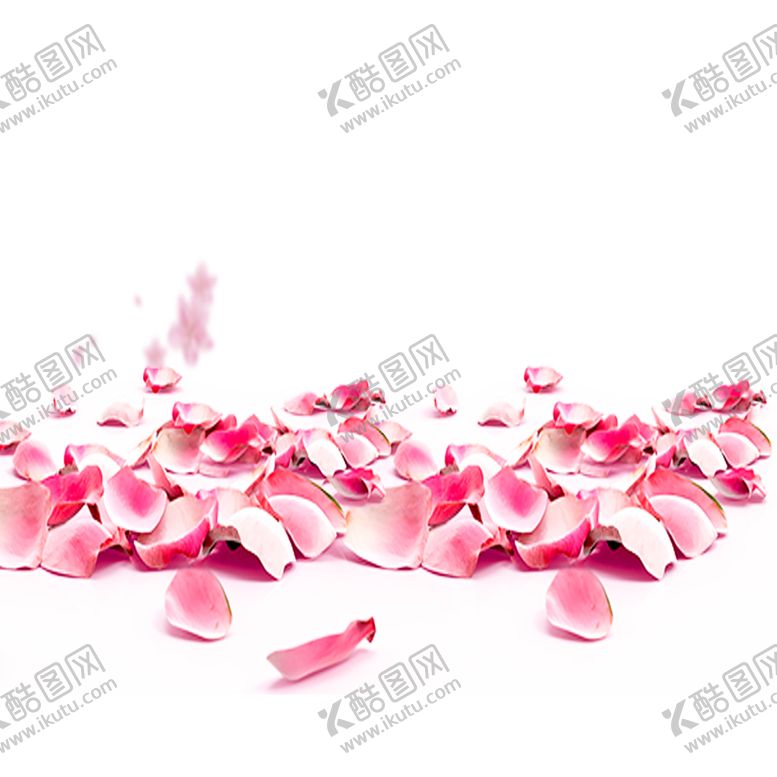 编号：80054306231420306253【酷图网】源文件下载-手绘植物花卉