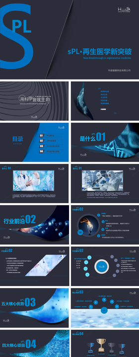 大健康科技项目ppt